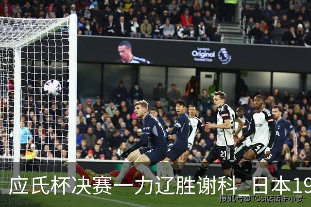 应氏杯决赛一力辽胜谢科 日本19年后重夺世冠